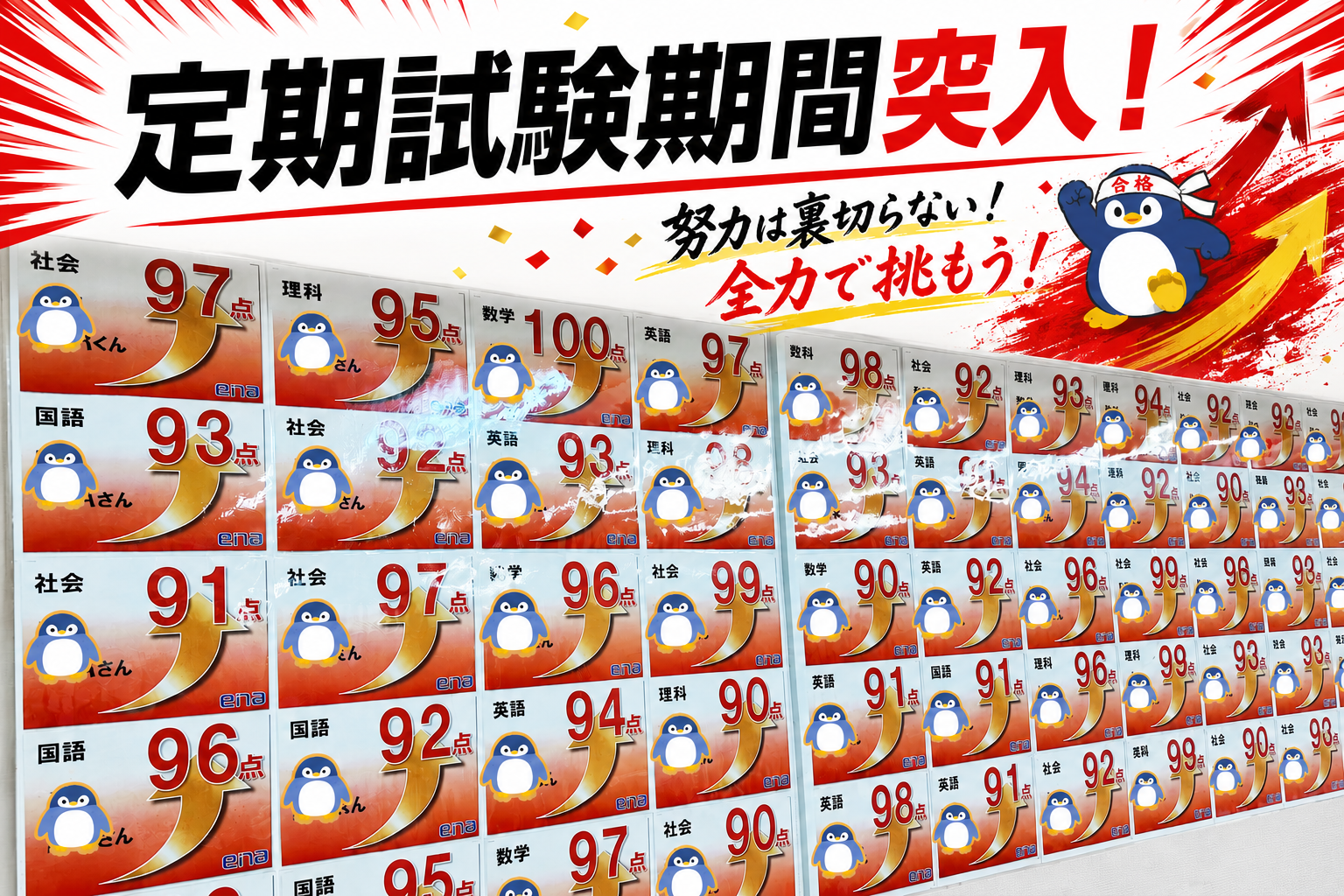 この時期がキタ！