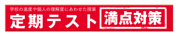 定期テスト満点対策