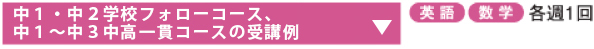 中1中2学校フォローコース、中1～中3中高一貫コース