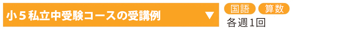 小5私立中受験コース