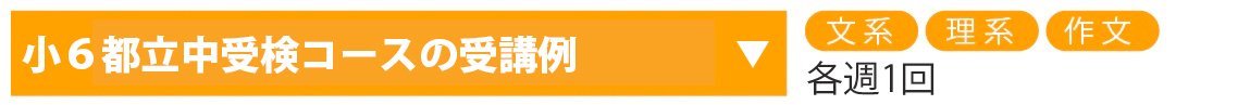 小6都立中受検コース
