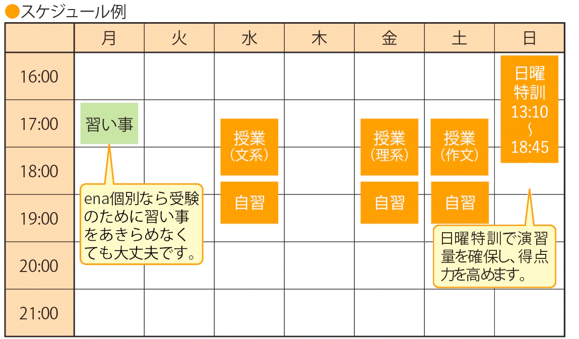 小6都立中受検コーススケジュール