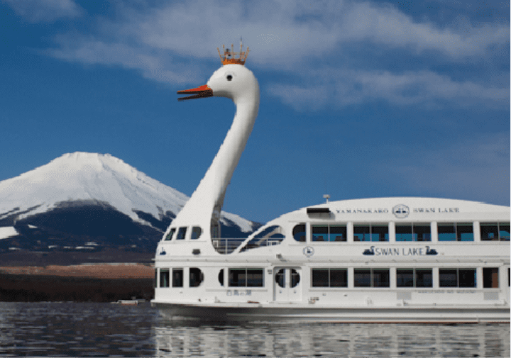 合宿体験 遊覧船