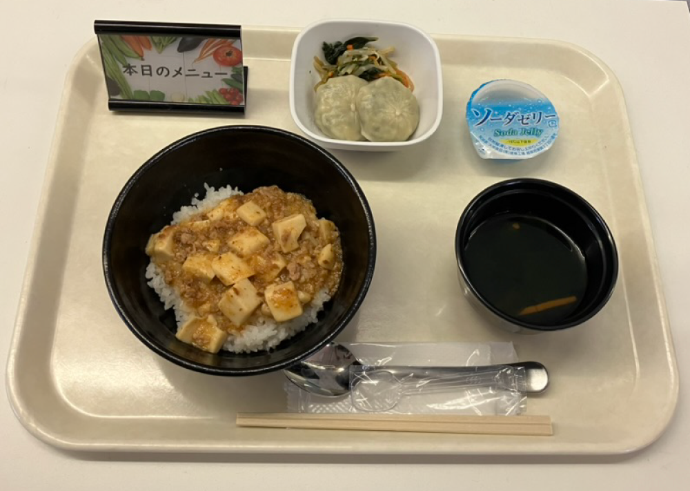 マーボー丼