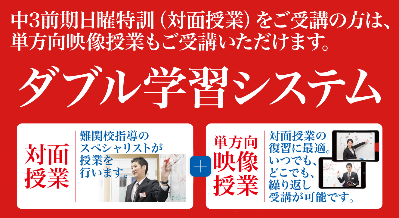 ダブル学習システム