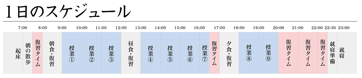 スケジュール