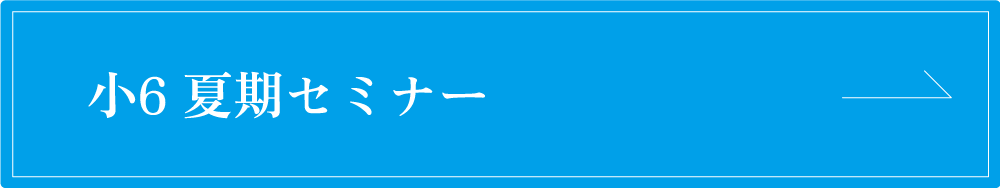 小６夏季セミナー