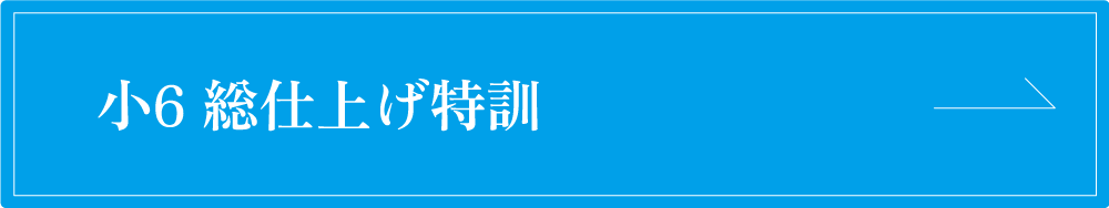 小６総仕上げ特訓