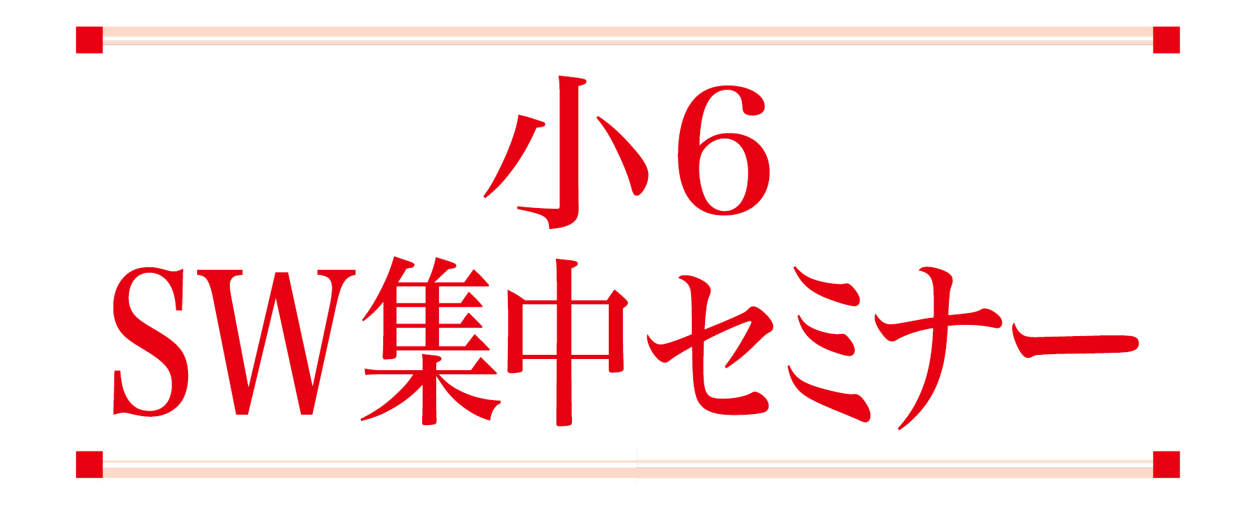 小6SW集中セミナー